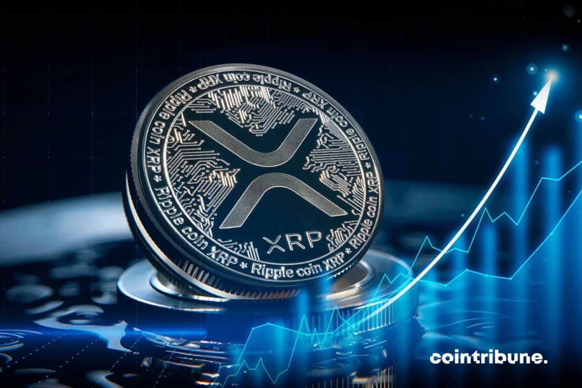 The Dynamic Landscape of Ripple (XRP)