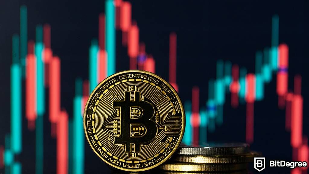 Bước Đột Phá Của Bitcoin Trong Ngày Bầu Cử Mỹ 2024