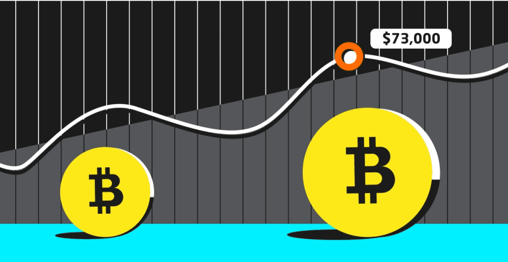 Lưu bản nháp tự động